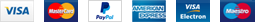 Visa, MasterCard, PayPal, American Express, Visa Electron, Maestro